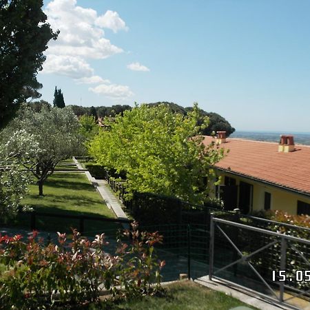 アリッチャ Agriturismo La Vite E Gli Uliviヴィラ エクステリア 写真