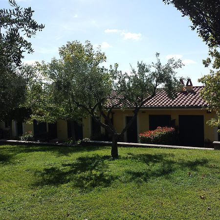 アリッチャ Agriturismo La Vite E Gli Uliviヴィラ エクステリア 写真