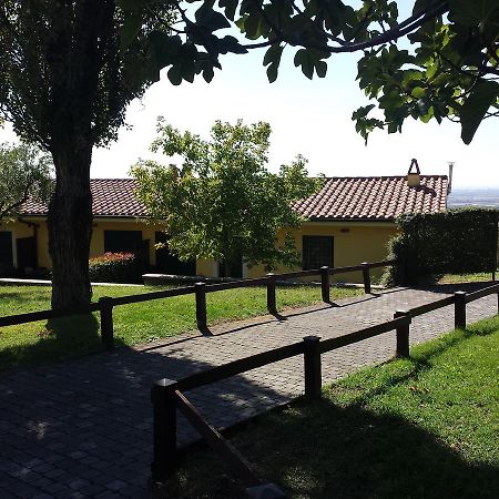 アリッチャ Agriturismo La Vite E Gli Uliviヴィラ エクステリア 写真