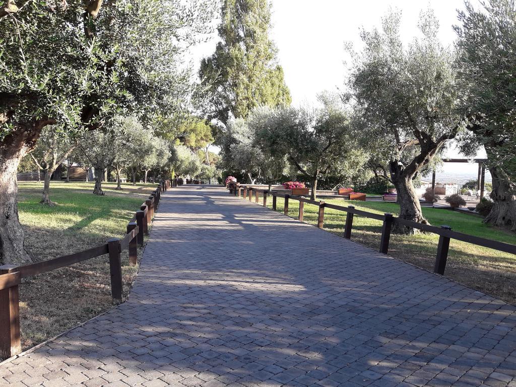 アリッチャ Agriturismo La Vite E Gli Uliviヴィラ エクステリア 写真
