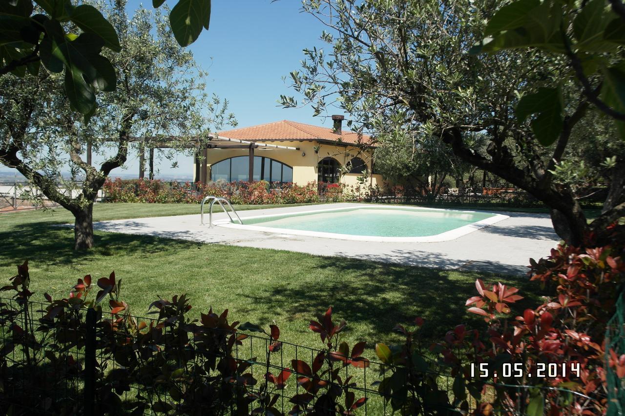 アリッチャ Agriturismo La Vite E Gli Uliviヴィラ エクステリア 写真