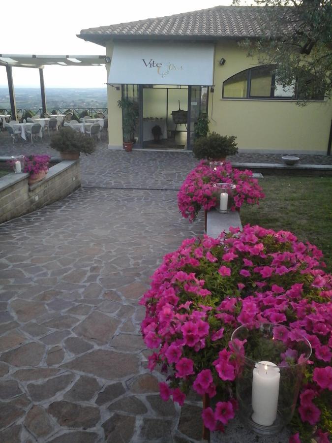 アリッチャ Agriturismo La Vite E Gli Uliviヴィラ エクステリア 写真