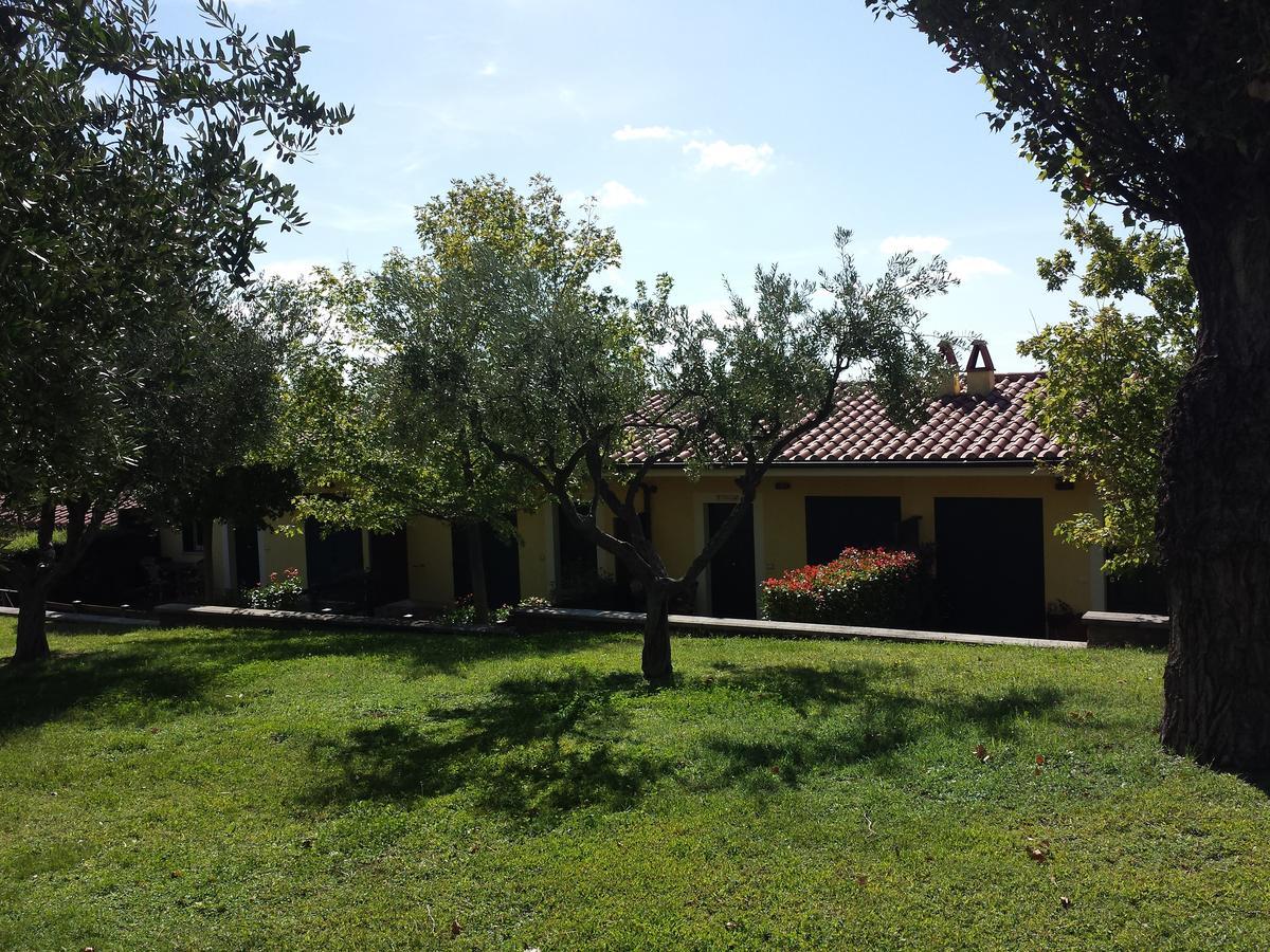 アリッチャ Agriturismo La Vite E Gli Uliviヴィラ エクステリア 写真
