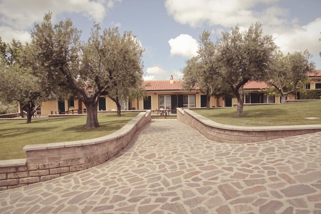 アリッチャ Agriturismo La Vite E Gli Uliviヴィラ エクステリア 写真