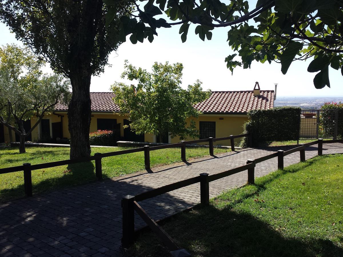 アリッチャ Agriturismo La Vite E Gli Uliviヴィラ エクステリア 写真